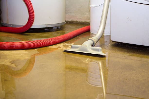 Trusted Water Damage Restoration in Linglestown, PA | Fast, Reliable, and Ready to Assist You